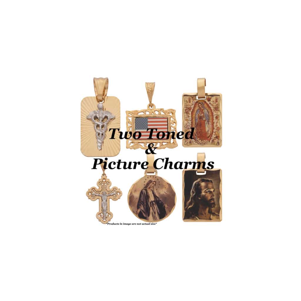 Two Toned & Picture Charms