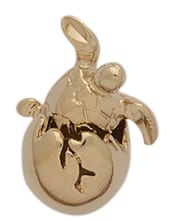 A-68 | Sea Turtle Charm